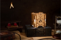 Puzzle Potato Tesla Box