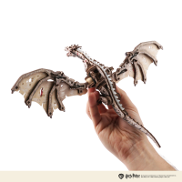 Ironbelly Dragon