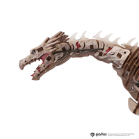Ironbelly Dragon